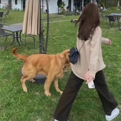 妮娜的一切